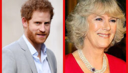 Prince Harry expose real intentions for Queen Consort Camilla