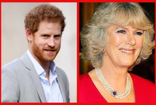 Prince Harry expose real intentions for Queen Consort Camilla