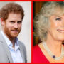 Prince Harry expose real intentions for Queen Consort Camilla