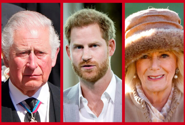 King Charles furious over continuous attacks on Camila by Prince Harry