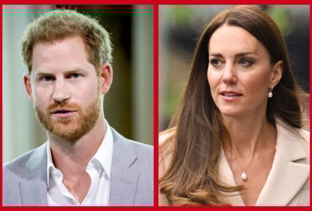 Expert disclose Prince Harry’s true feelings for Kate Middleton