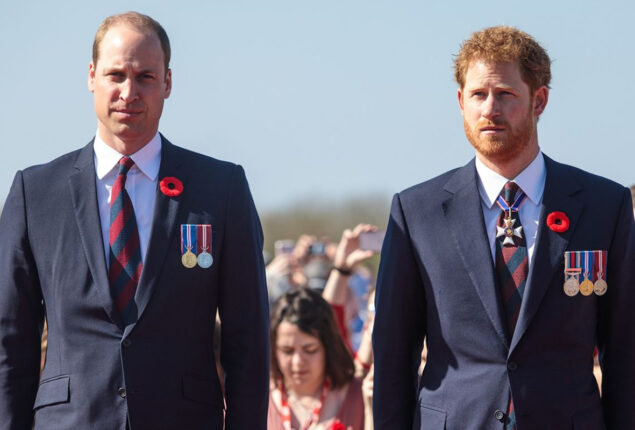 Prince Harry, Prince William were against marriage of King Charles and Camilla