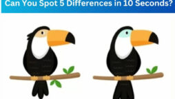 Spot The Difference: Find five differences between the two images 