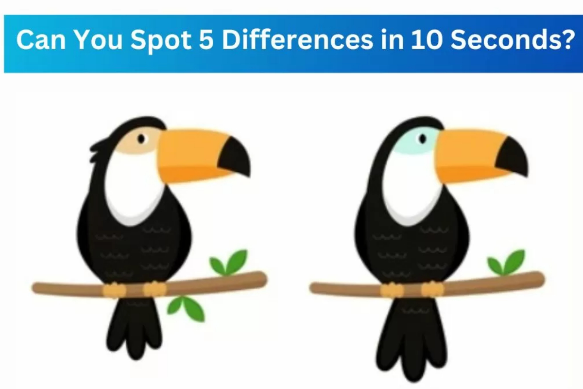Spot The Difference