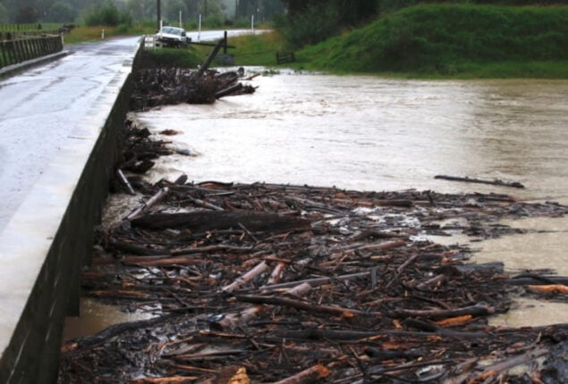 New Zealand rain