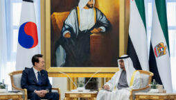 UAE pledges $30 billion in investments in South Korea