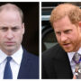 Prince William has ‘list of reasons’ to hate Prince Harry