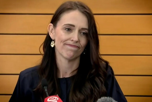 New Zealand PM, Ardern highlighted the challenges and accomplishments