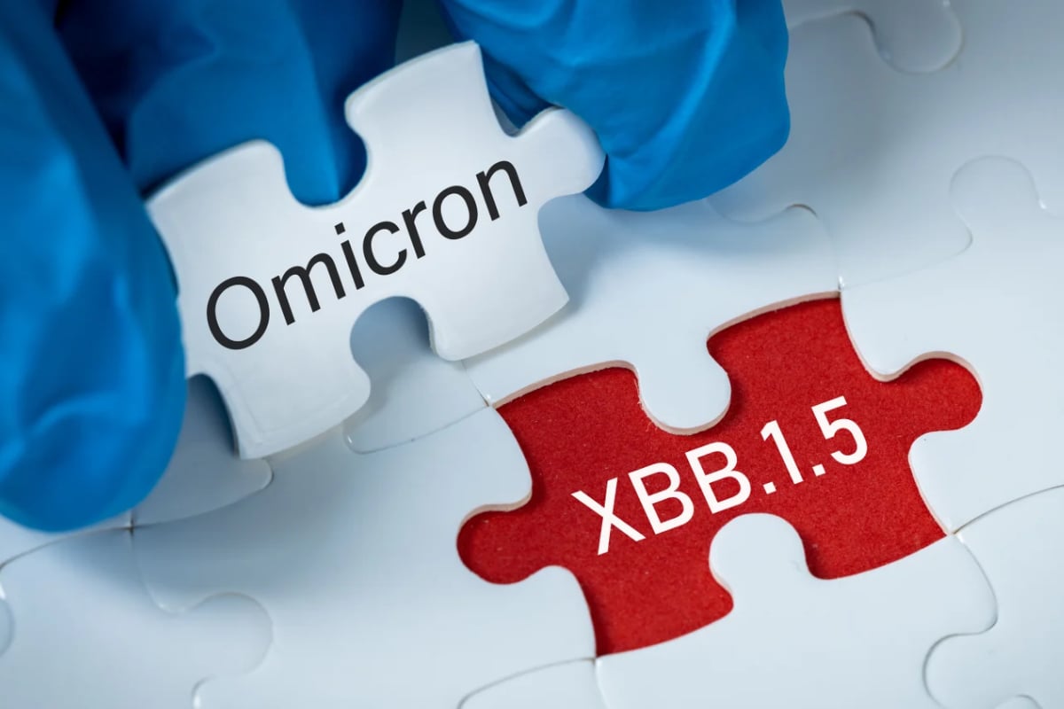 omicron xbb 1.5