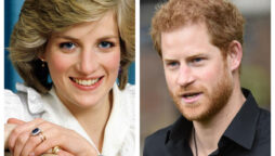 Prince Harry could not accept the death of Princess Diana