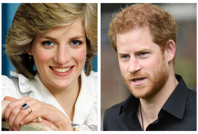 Prince Harry could not accept the death of Princess Diana
