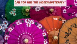 Optical Illusion: Find the hidden butterfly within 12 seconds