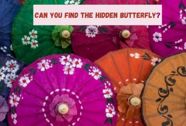 Optical Illusion: Find the hidden butterfly within 12 seconds
