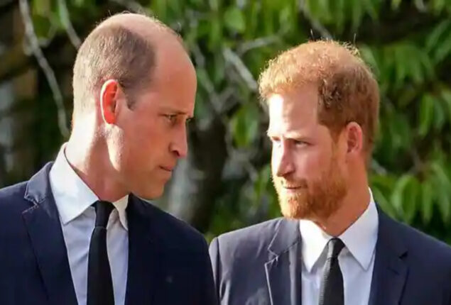 Prince William is “absolutely horrified’ by Prince Harry’s attacks