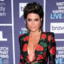 Lisa Rinna “hated” how unhealthy housewives final year was