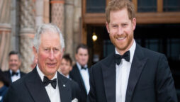 Prince Harry has scared King Charles in midst of “Spare” attacks