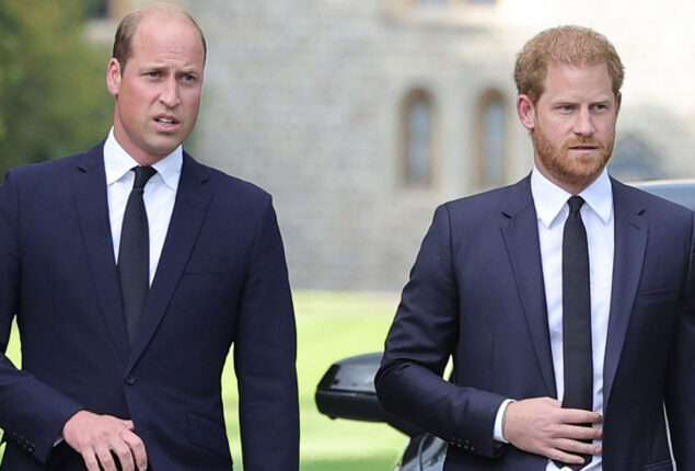 Upcoming memoir of prince Harry may harm relationship with Prince William