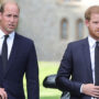 Upcoming memoir of prince Harry may harm relationship with Prince William