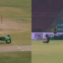 PAK vs NZ: Agha Salman took incredible catch in opening ODI