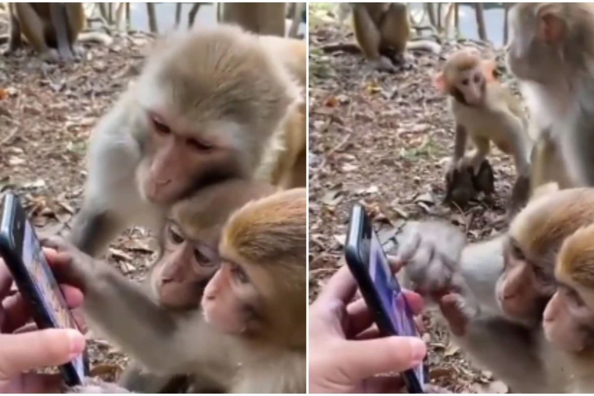 Union Minister shares video