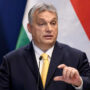Ukraine summons Hungary’s envoy in response to Orban’s ‘unacceptable’ remarks