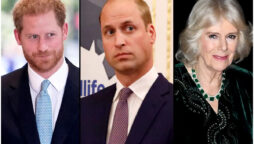 Prince William complained about Camilla to Harry