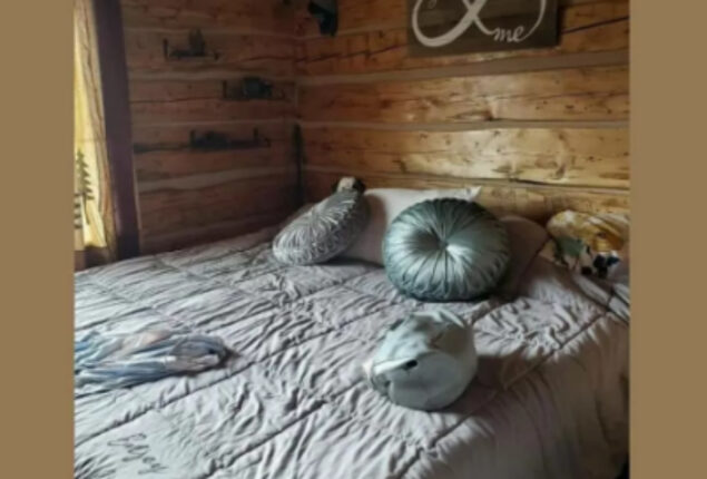 Optical Illusion: Find a dog in the bedroom in 7 seconds