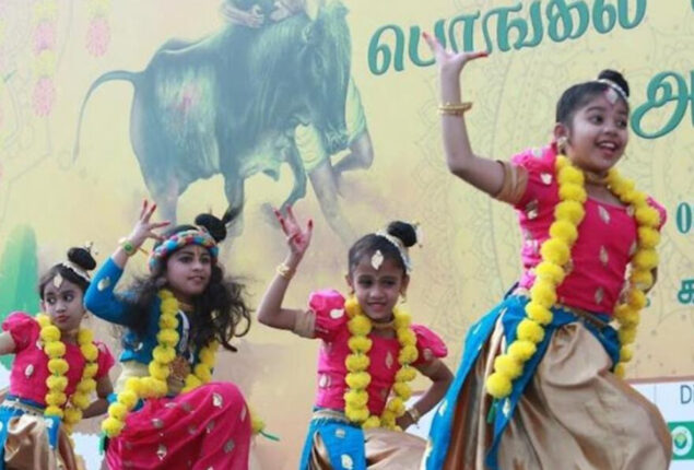 More than 2,000 Tamil expats in the UAE celebrate Pongal with pomp