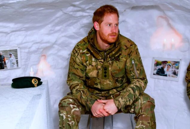 Former CIA official issues warning to Prince Harry