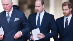 Can Harry regain the trust of King Charles and Prince William?