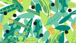 Optical Illusion: Can you find a frog in the leaves within 5 seconds?