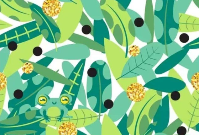 Optical Illusion: Can you find a frog in the leaves within 5 seconds?
