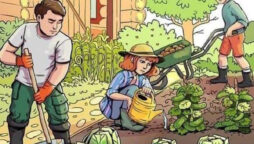 Brain Teasers: Can you spot 3 Hidden words in Gardening Picture