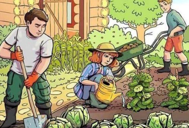 Brain Teasers: Can you spot 3 Hidden words in Gardening Picture