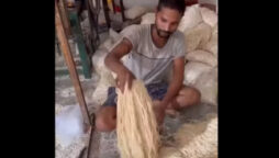 Ever wondered how noodles are made? This video will annoy you