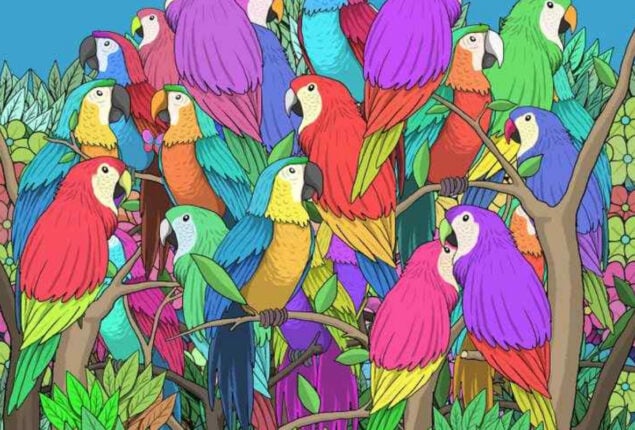 Optical Illusion: Spot the butterfly hidden among parrots in 7 seconds