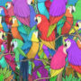 Optical Illusion: Spot the butterfly hidden among parrots in 7 seconds