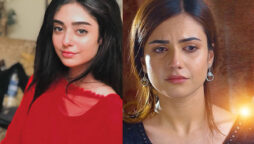 Noor Khan’s replacement in “Mere Damad” is making fans upset