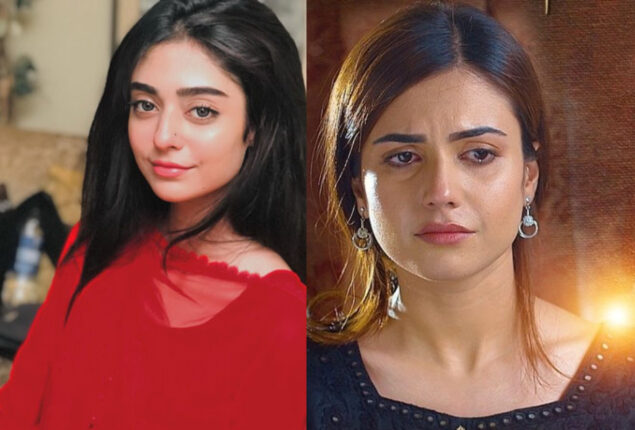 Noor Khan’s replacement in “Mere Damad” is making fans upset