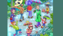 Optical Illusion: Spot a frog in park in less than 14 seconds