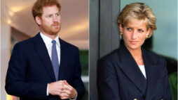 Prince Harry visits tunnel where Princess Diana died