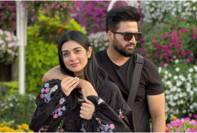 Sarah Khan denied her husband’s music video