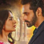Tera Bin OST gets public response for being a copy of Bollywood