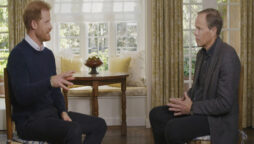 Prince Harry continues to smear the Royal Family