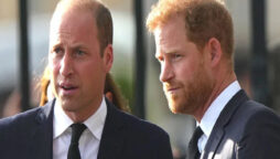 King Charles & William are allegedly being “blackmailed” by Harry