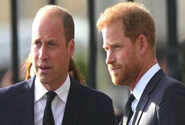 King Charles & William are allegedly being “blackmailed” by Harry