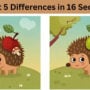 Spot the Difference: Find five differences in only 16 seconds