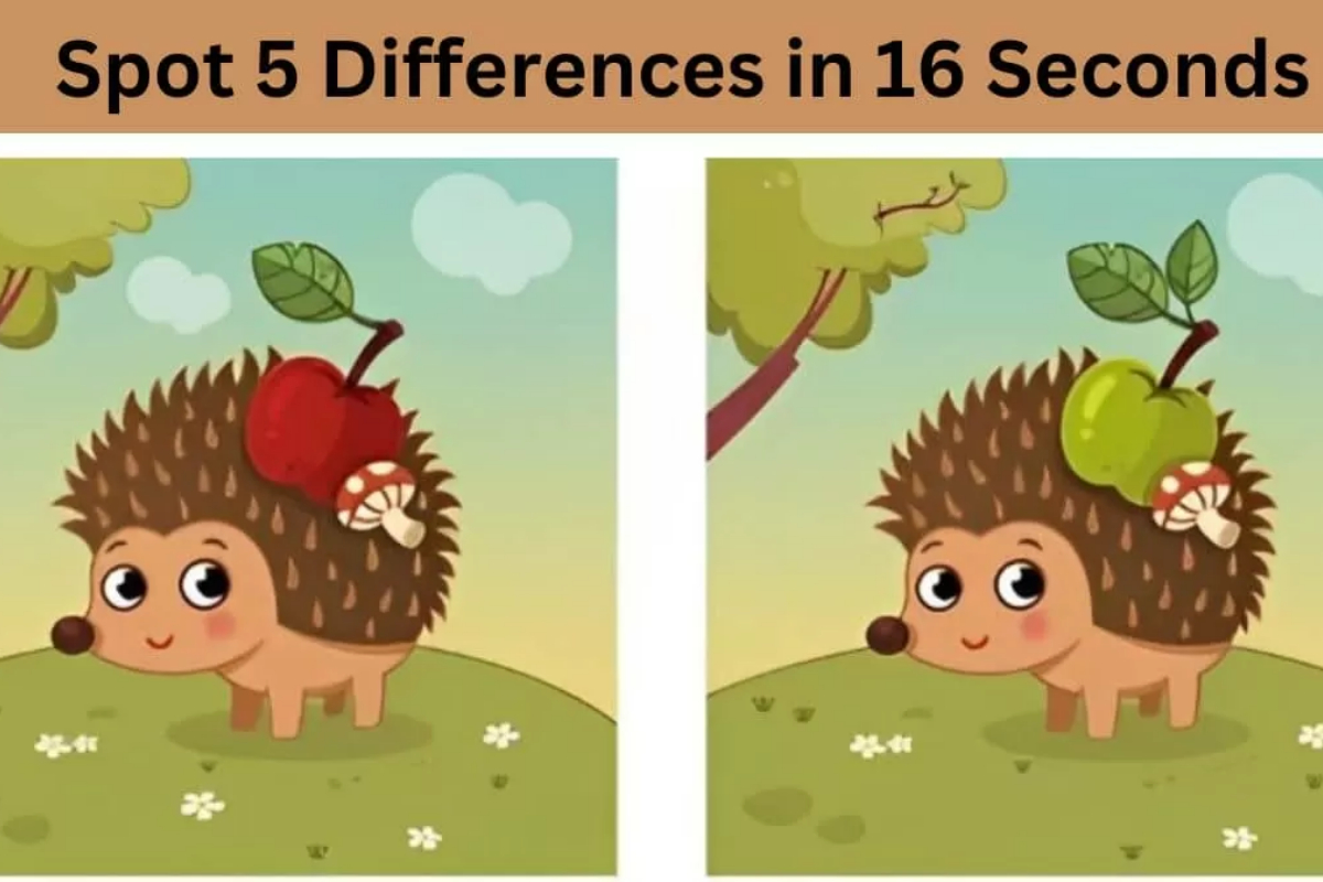 Spot the Difference
