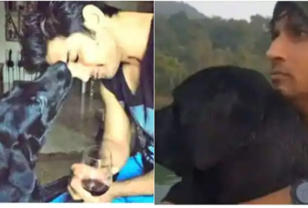 Sushant Singh Rajput’s pet dog has died