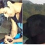 Sushant Singh Rajput’s pet dog has died